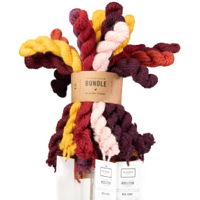 Blue Sky Fibers Woolstok Bundles Yarn - Warm