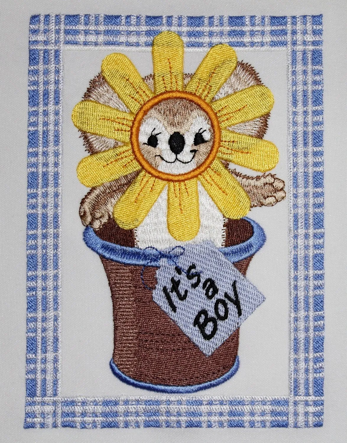 Potted Sunflower Fuzzy Boy