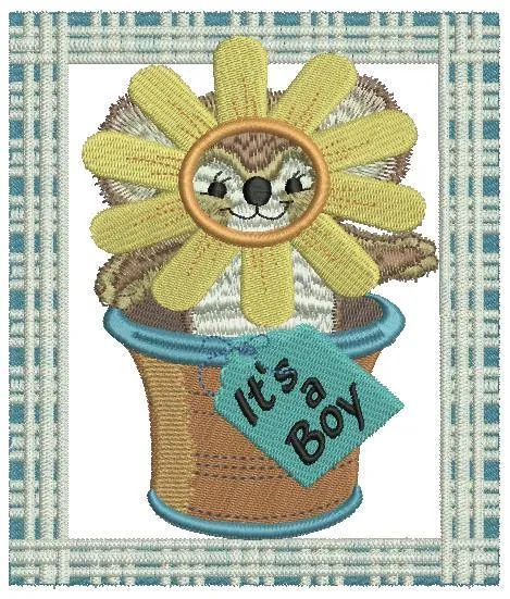 Potted Sunflower Fuzzy Boy